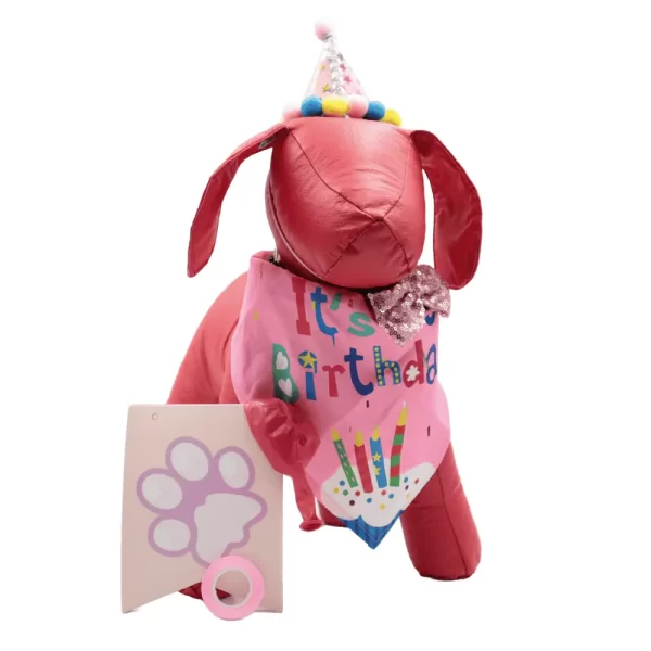 Kit para Fiesta de Cumpleaños Rosa - Imagen 2